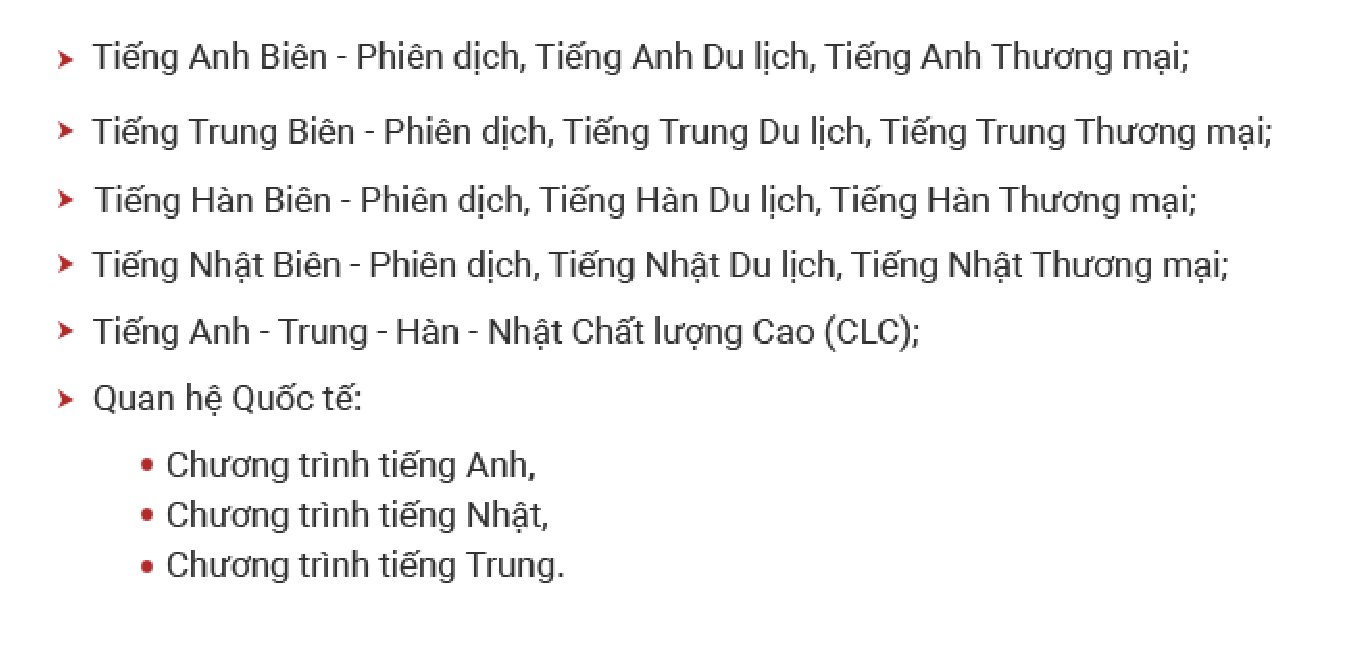 Khối ngành Ngôn ngữ - Xã hội Nhân văn DTU: Điểm đến của nhiều thí sinh điểm cao ảnh 5