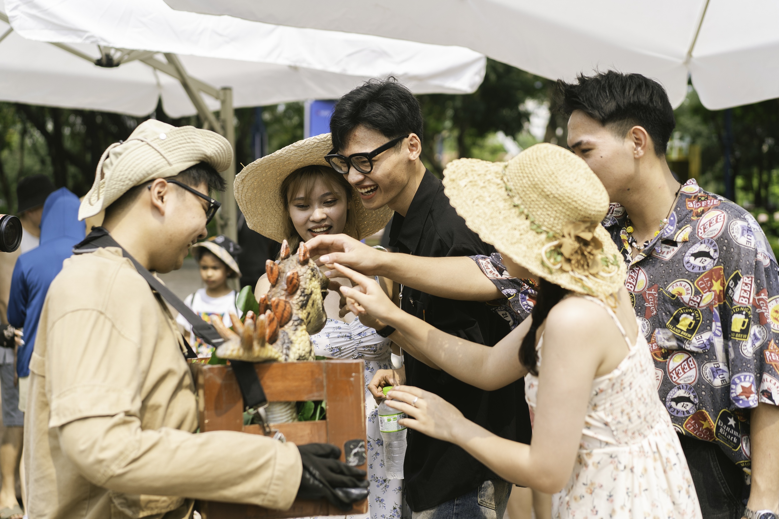 Dinoshow - Show diễn 