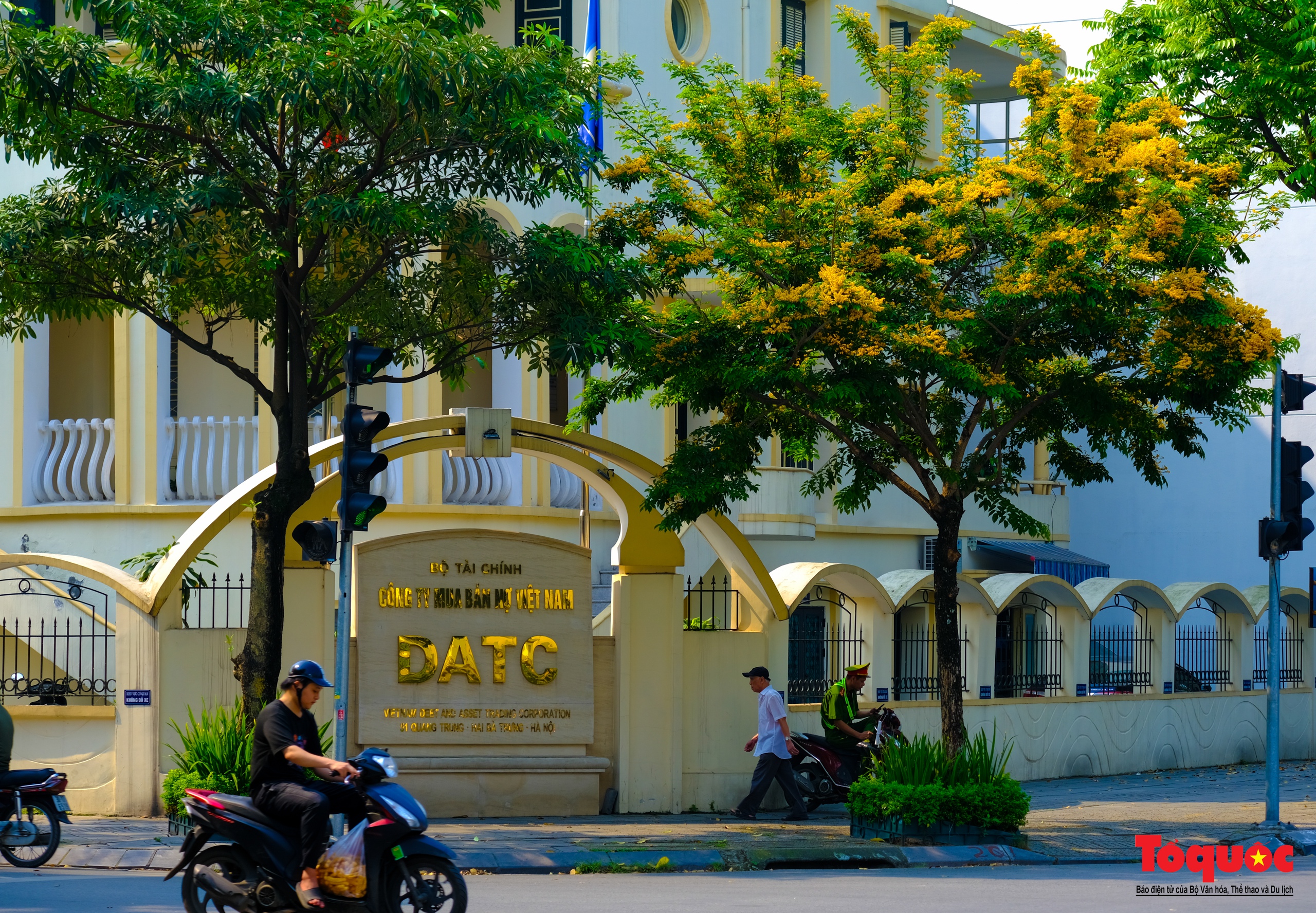Mùa hoa Giáng Hương "nhuộm" vàng rực rỡ đường phố Hà Nội - Ảnh 8. Mùa hoa Giáng Hương "nhuộm" vàng rực rỡ đường phố Hà Nội - Ảnh 8.