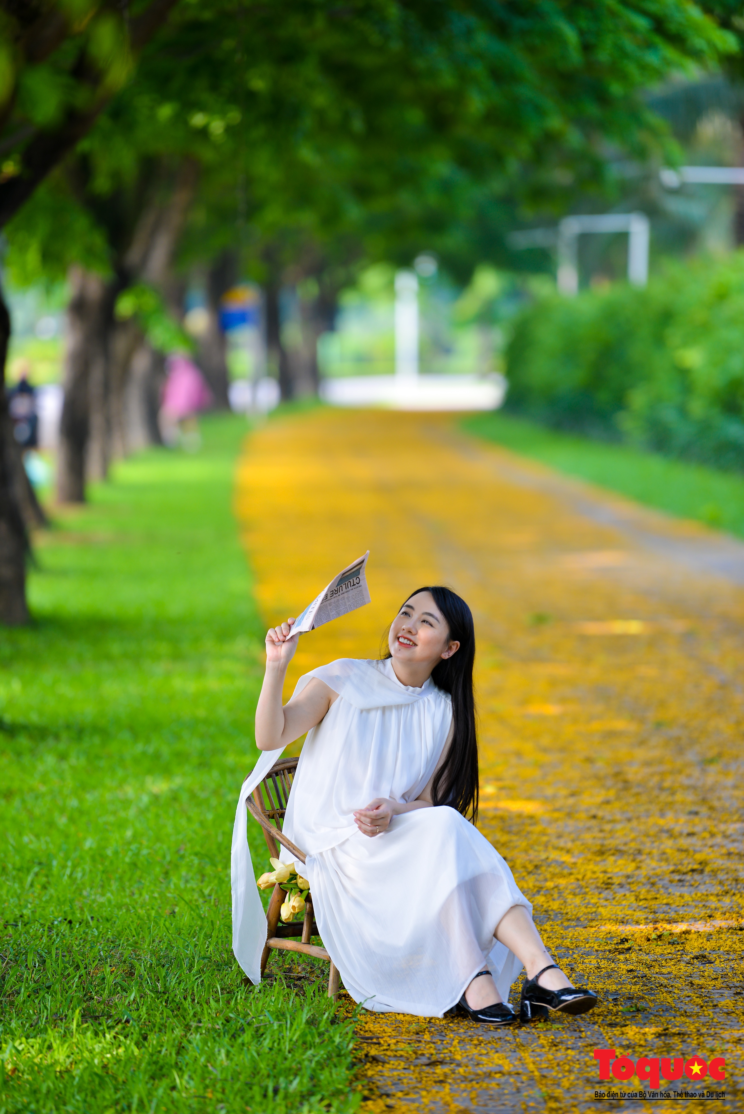 Mùa hoa Giáng Hương "nhuộm" vàng rực rỡ đường phố Hà Nội - Ảnh 16. Mùa hoa Giáng Hương "nhuộm" vàng rực rỡ đường phố Hà Nội - Ảnh 16.