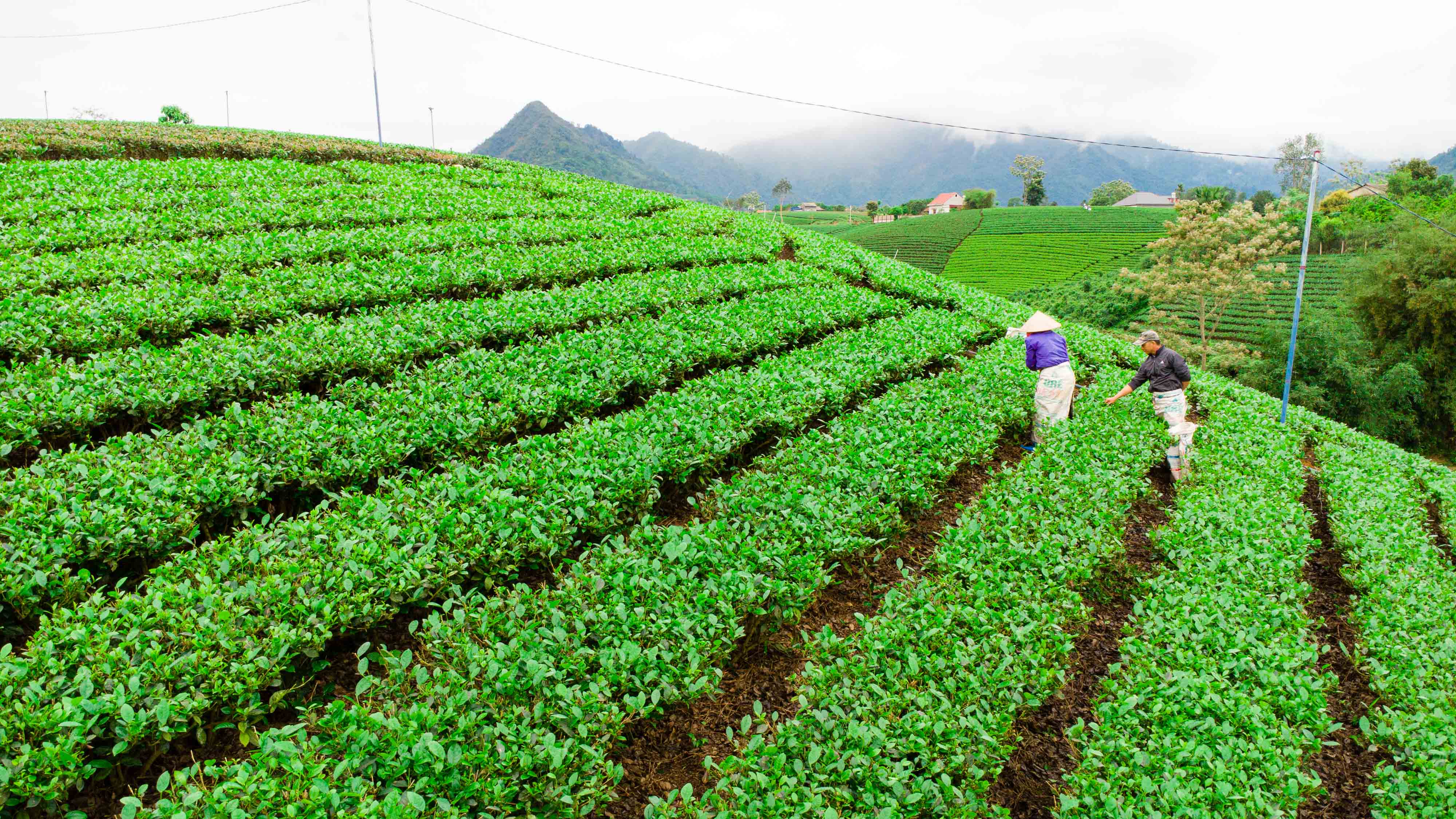 Tài chính - Ngân hàng - ADB đã cam kết mức tài trợ khí hậu kỷ lục trong năm vừa qua