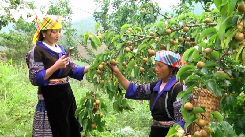 Bàn giải pháp đào tạo nghề cho lao động nông thôn