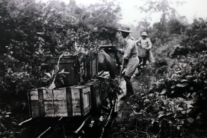 Những chuyến hàng vượt núi phục vụ tiền tuyến hướng về Điện Biên. (Ảnh tư liệu)