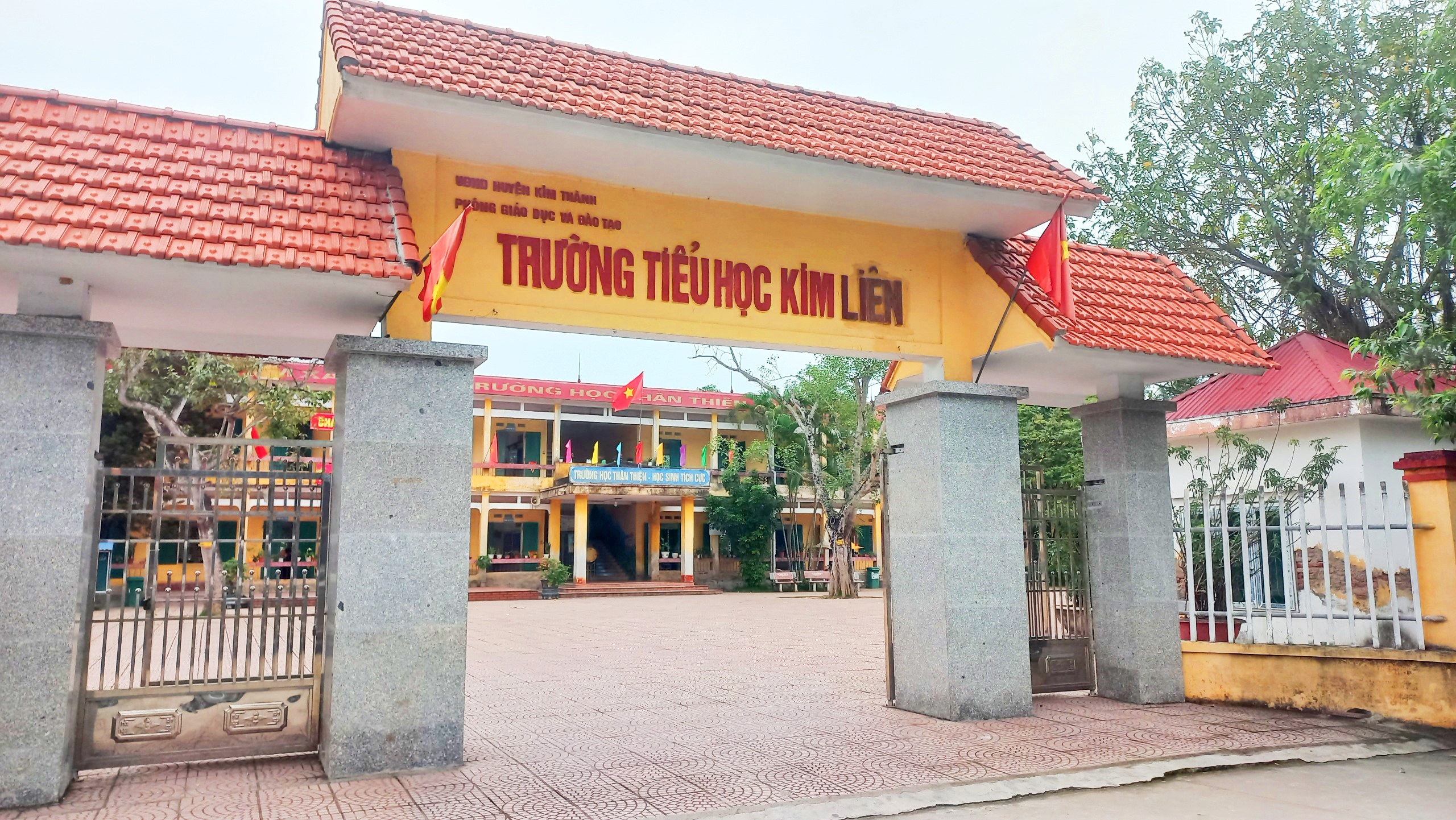 Đề nghị cách mọi chức vụ trong Đảng một hiệu trưởng trường tiểu học- Ảnh 1.