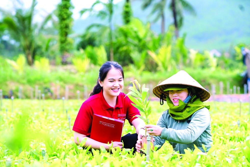 Agribank Sơn La đồng hành cùng nông dân làm giàu