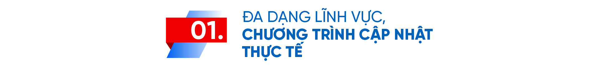 Học thạc sĩ trong môi trường hội nhập quốc tế - Ảnh 1.