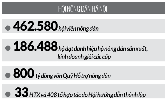 Hội Nông dân Hà Nội xây dựng hình ảnh nông dân Thủ đô năng động - Ảnh 2.