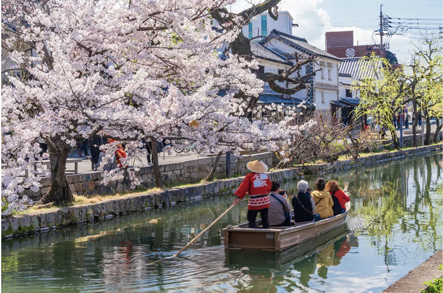 Ngắm hoa anh đào ở khu phố lịch sử Kurashiki Bikan, Nhật Bản - Ảnh: JNTO