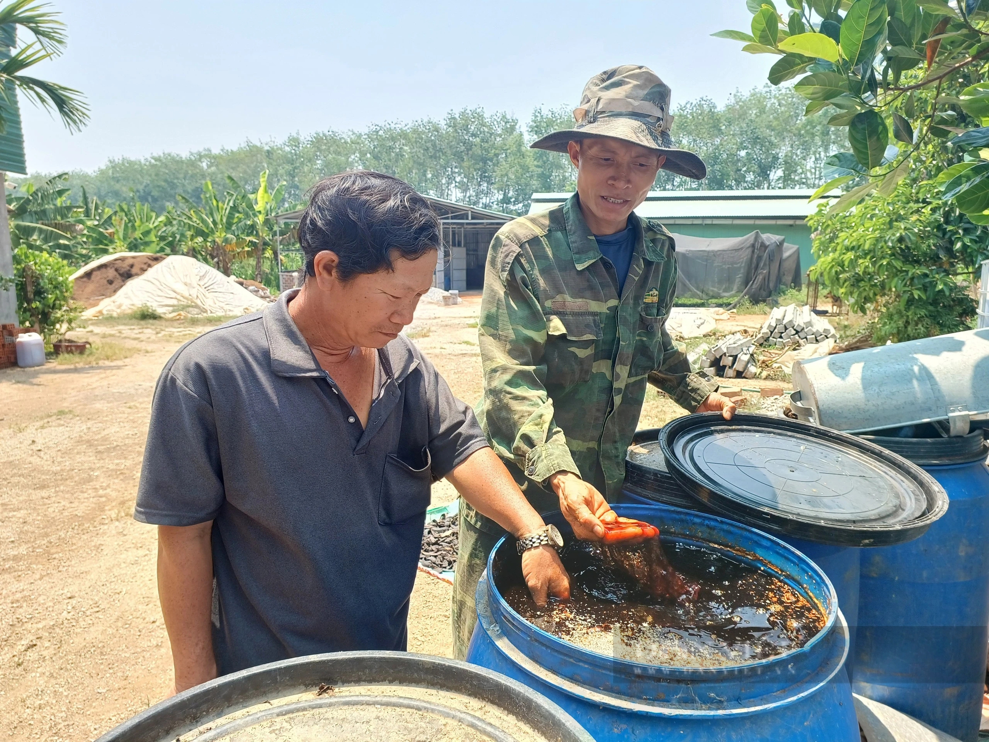 Mặc kệ xóm làng chê, anh nông dân ở Kon Tum quyết trồng cây cho 