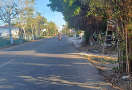 ផ្ទះឃ្មុំ t.jpg