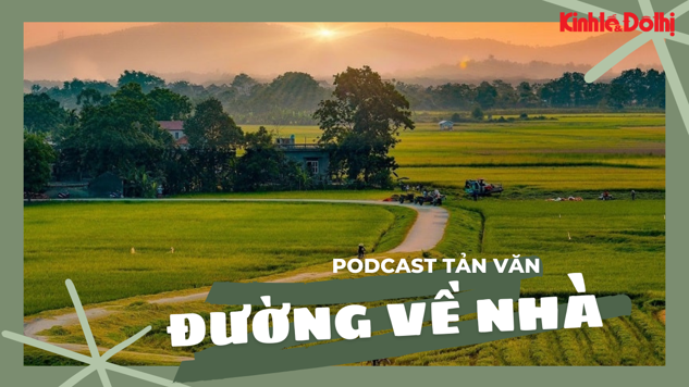 Podcast Tản văn: Đường về nhà