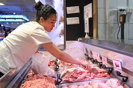 בטן חזיר 1239 1 730.jpg