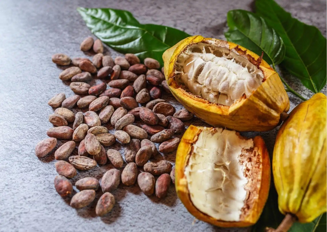 Cacao