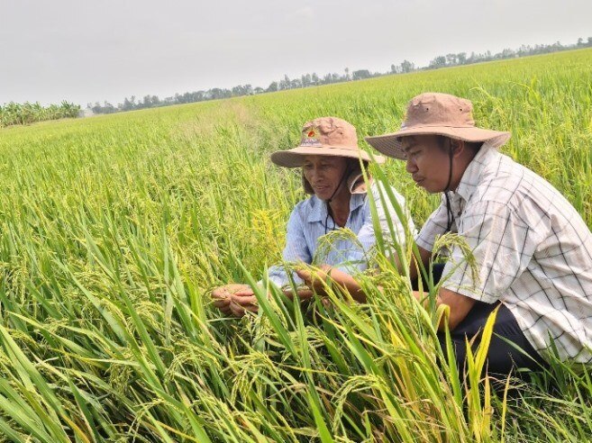 Tăng trưởng lạc quan, nông nghiệp tiếp tục là trụ đỡ của nền kinh tế