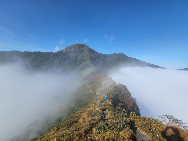 Sống lưng khủng long Tà Xùa là ranh giới của huyện Bắc Yên (Sơn La) và huyện Trạm Tấu (Yên Bái). Ảnh Lê Huyền Trang