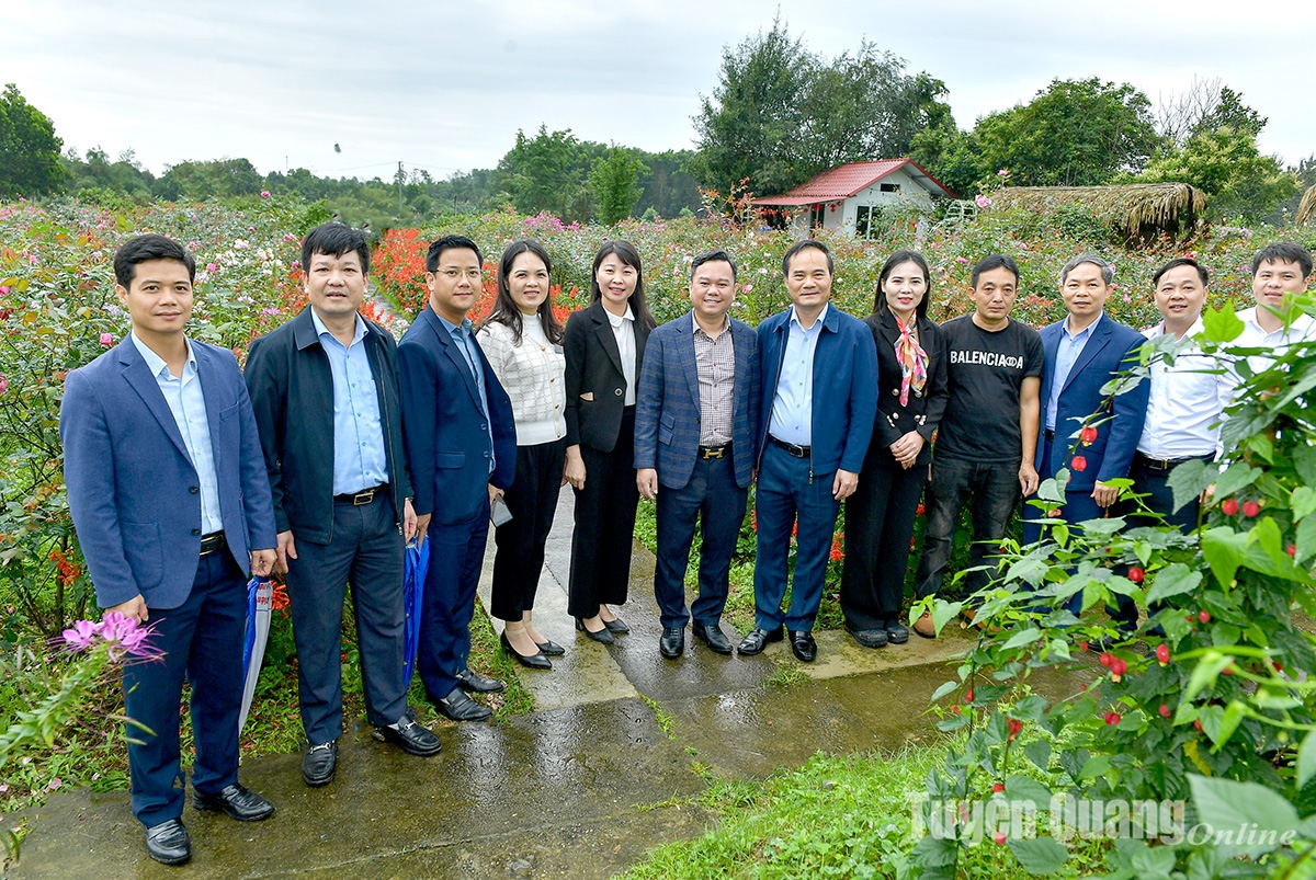 Lãnh đạo UBND tỉnh Tuyên Quang khảo sát, đánh giá thực tế việc triển khai xây dựng Làng văn hoá thôn Động Sơn, xã Chân Sơn (Yên Sơn); tham quan một số mô hình phát triển du lịch trên địa bàn xã Chân Sơn. (Ảnh TL)