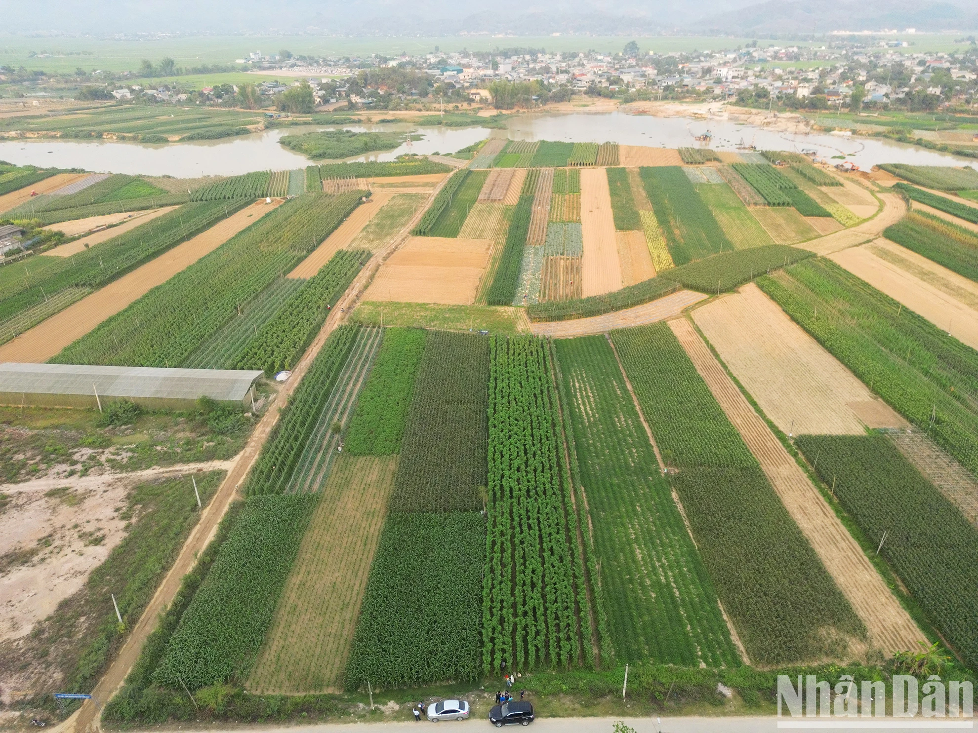 [Ảnh] Những người nông dân nơi vùng chiến khu xưa ảnh 2