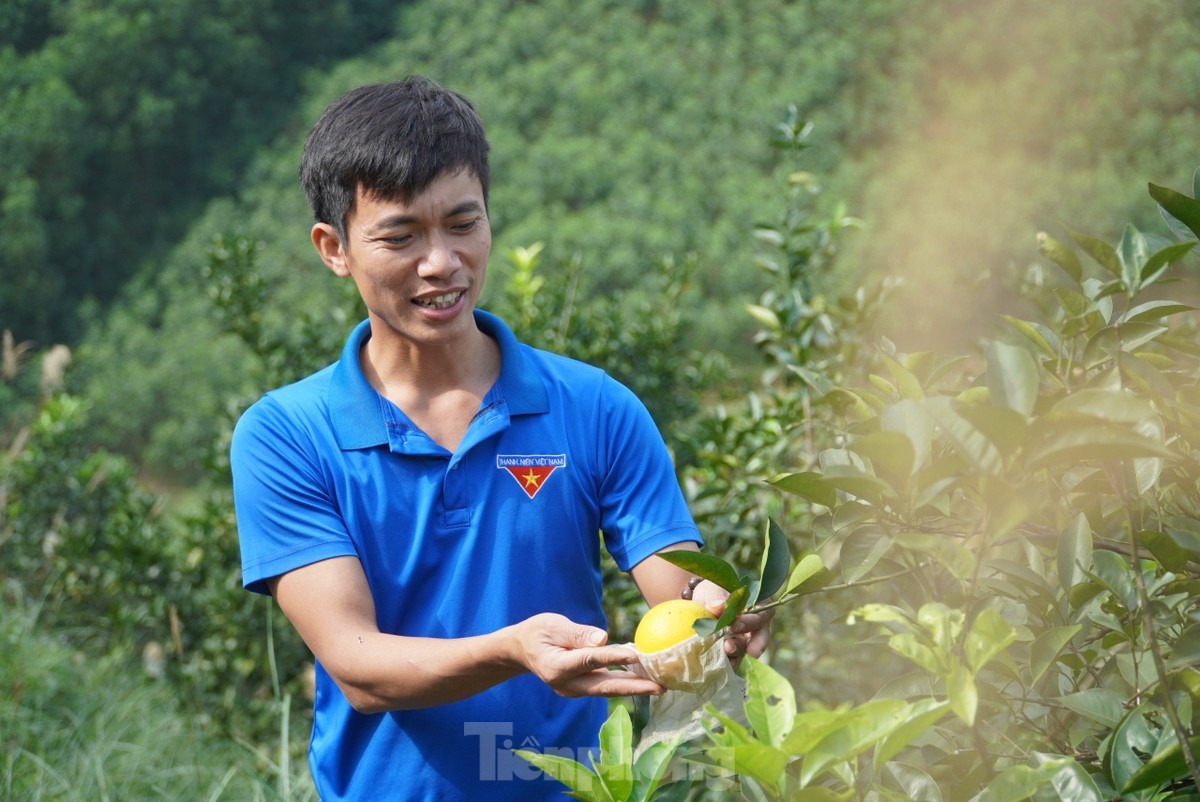 Nắng nóng đỉnh điểm, nông dân vất vả 'làm mưa' chống hạn cho cây trồng ảnh 6