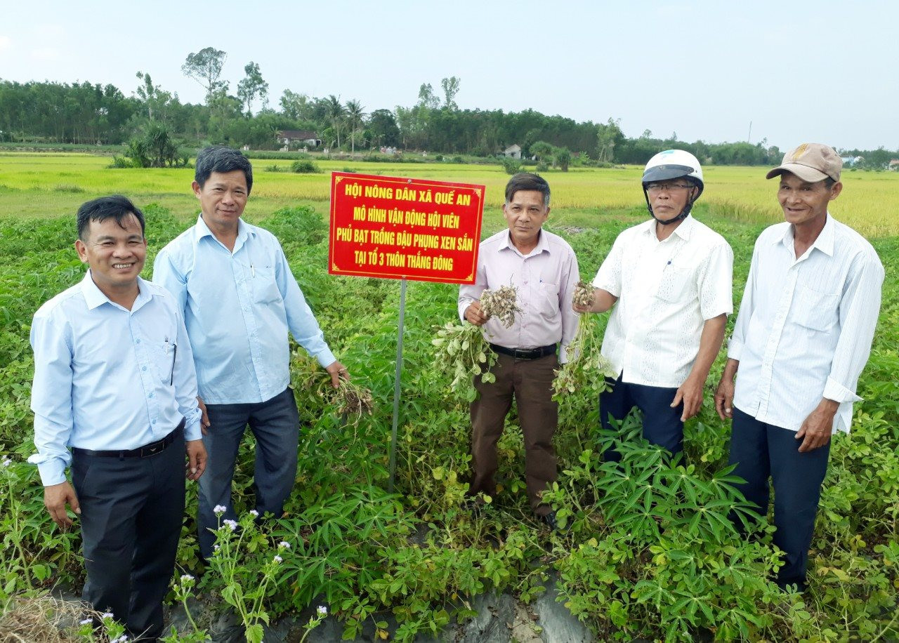 Nông dân một xã ở Quảng Nam chuyển từ làm lúa sang trồng những loại cây gì mà thu nhập tốt hơn hẳn?- Ảnh 3.