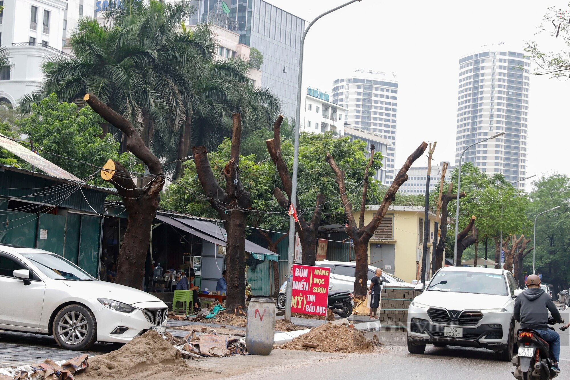 Hàng loạt cây xanh phủ bóng mát bị cắt tỉa trơ trụi giữa mùa hè tại Hà Nội- Ảnh 5.