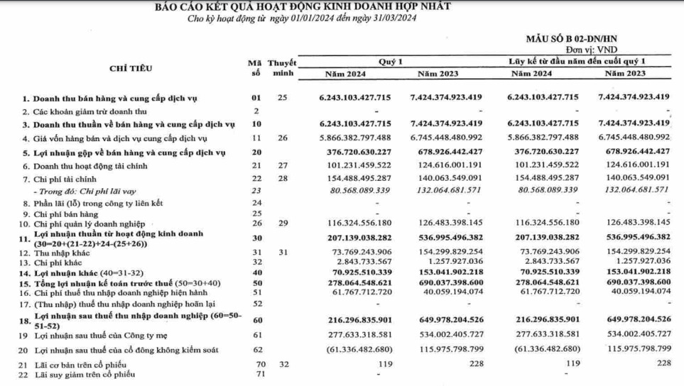 Doanh thu và lợi nhuận quý đầu năm giảm mạnh. Ảnh chụp màn hình BCTC PWO