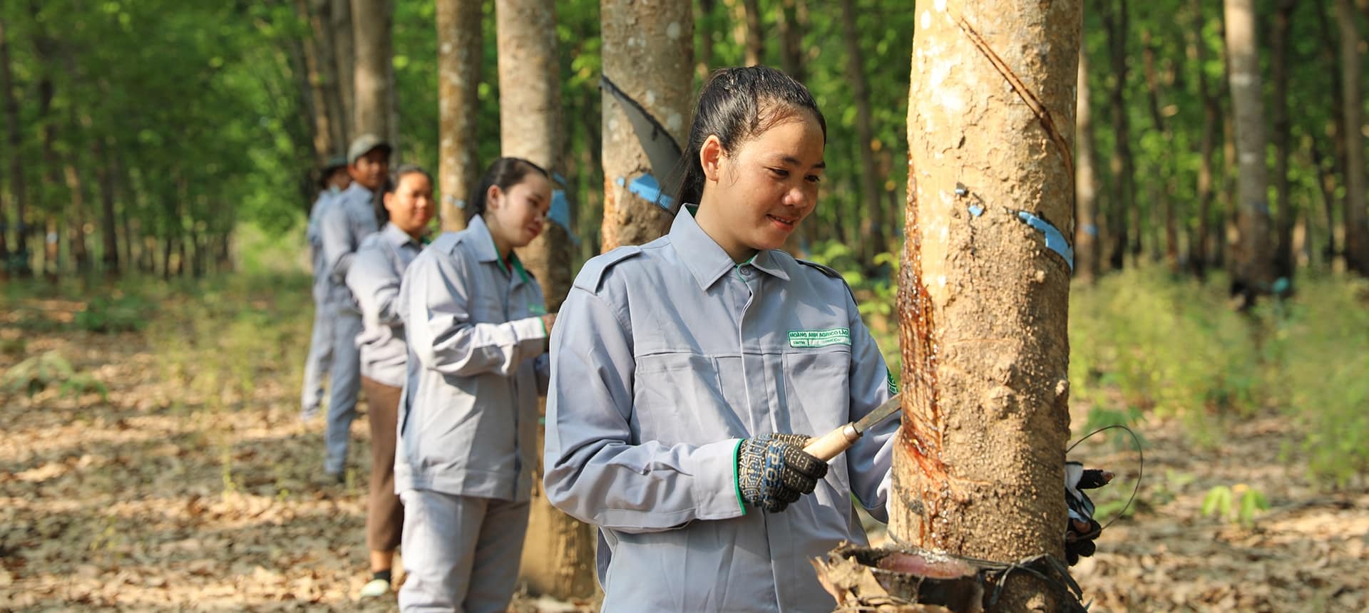 THACO AGRI đẩy mạnh tuyển dụng công nhân tại các địa phương thuộc Lào, Campuchia