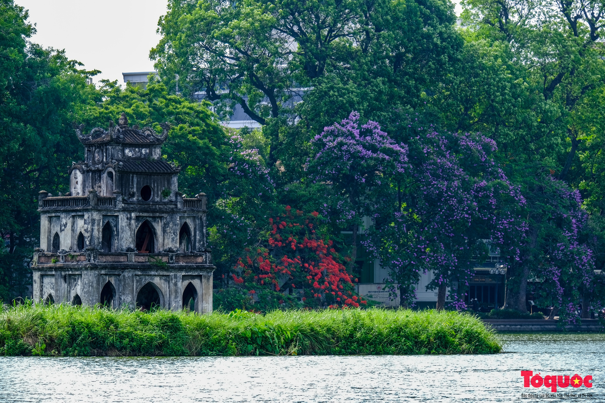 Ngắm Hà Nội lãng mạn trong mùa hoa bằng lăng tím - Ảnh 4.