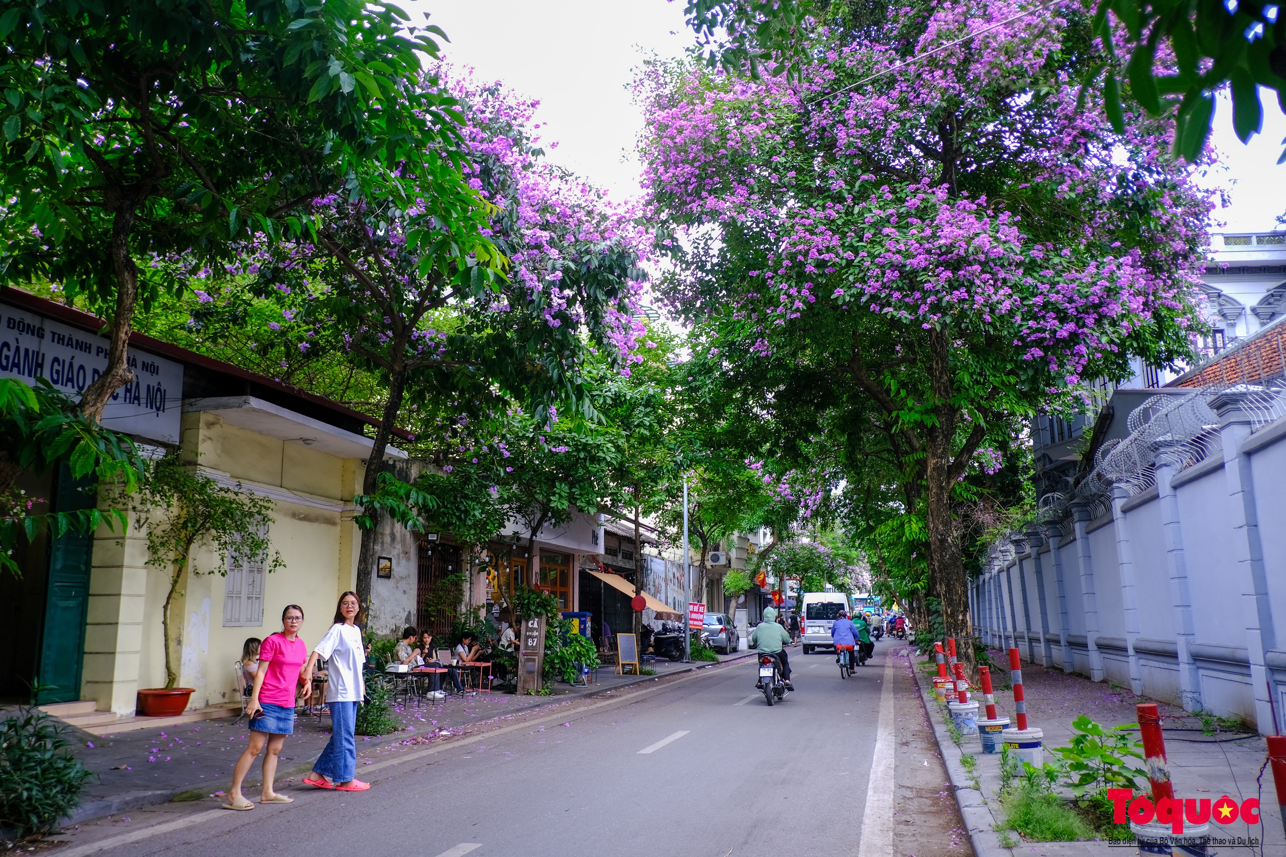 Ngắm Hà Nội lãng mạn trong mùa hoa bằng lăng tím - Ảnh 12.