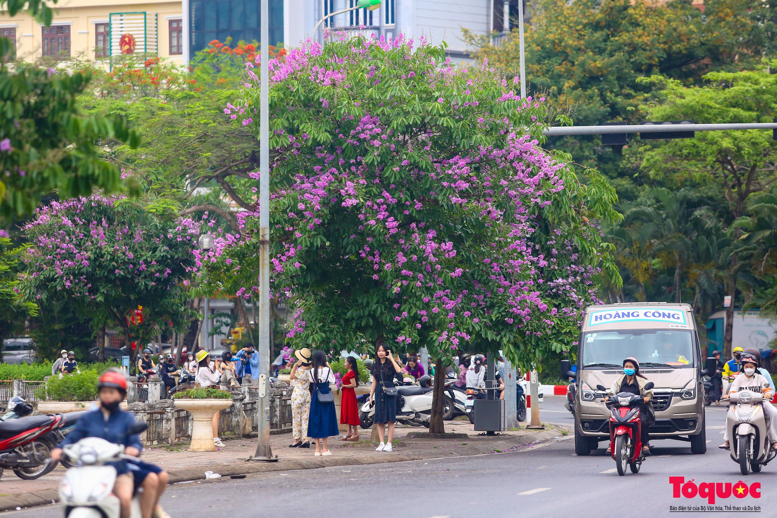 Ngắm Hà Nội lãng mạn trong mùa hoa bằng lăng tím - Ảnh 15.