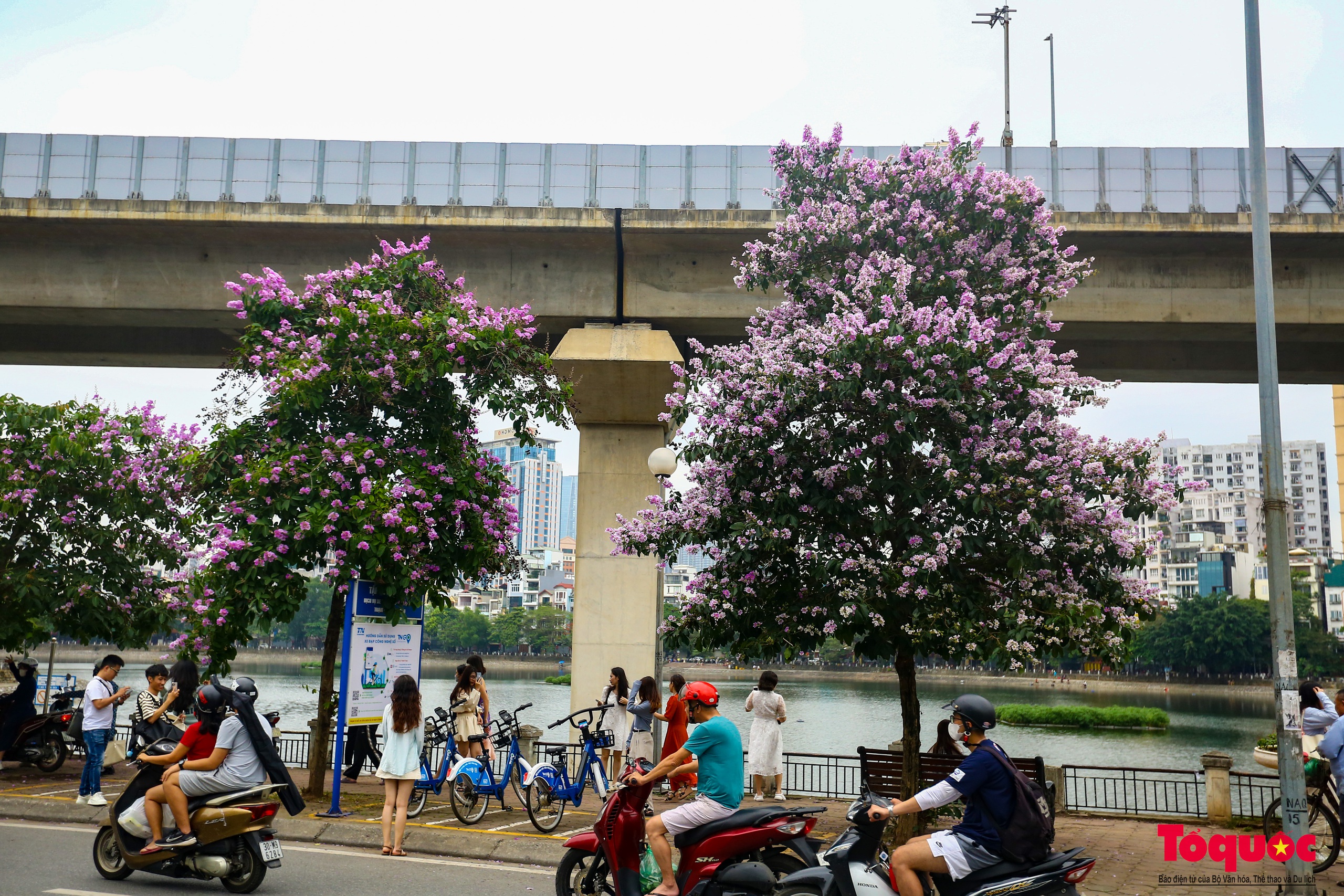 Ngắm Hà Nội lãng mạn trong mùa hoa bằng lăng tím - Ảnh 19.