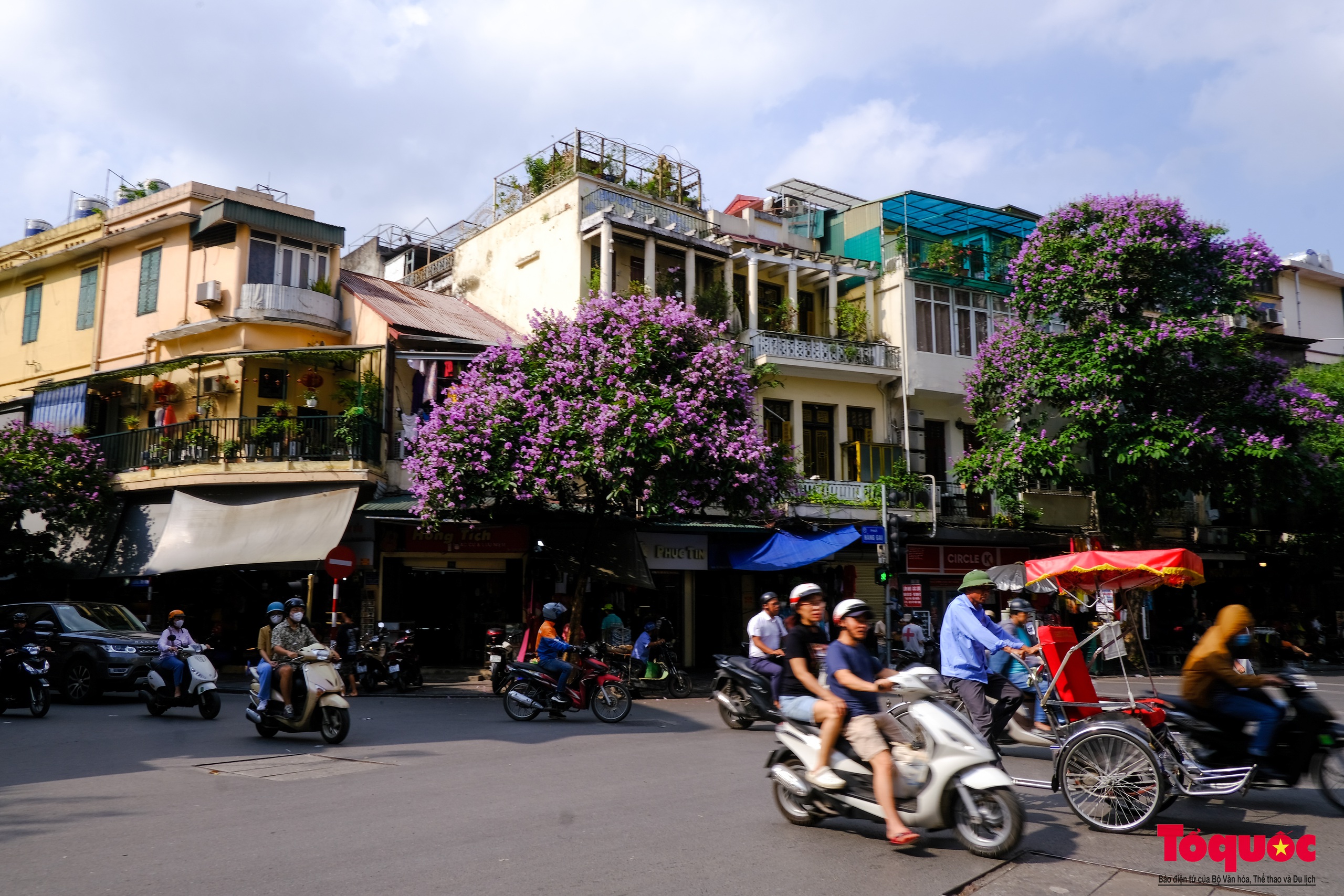 Ngắm Hà Nội lãng mạn trong mùa hoa bằng lăng tím - Ảnh 20.