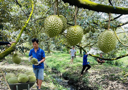 ব্যক্তিগত 3177.jpg