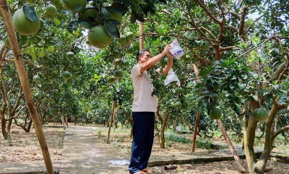 Yên Lập đang từng ngày “thay da đổi thịt”