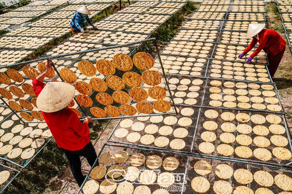 Về đất rừng U Minh Hạ lội rừng săn ong mật, đặt lọp bắt cá đồng, thưởng thức bao sản vật đặc trưng - Ảnh 3.