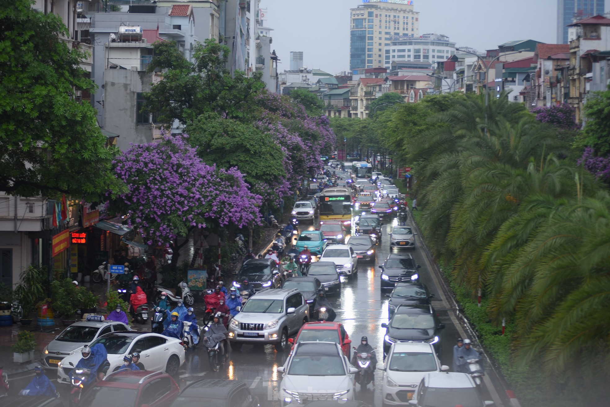 Mưa lớn giờ tan tầm, đường phố kẹt cứng, người Hà Nội loay hoay tìm lối về nhà ảnh 4