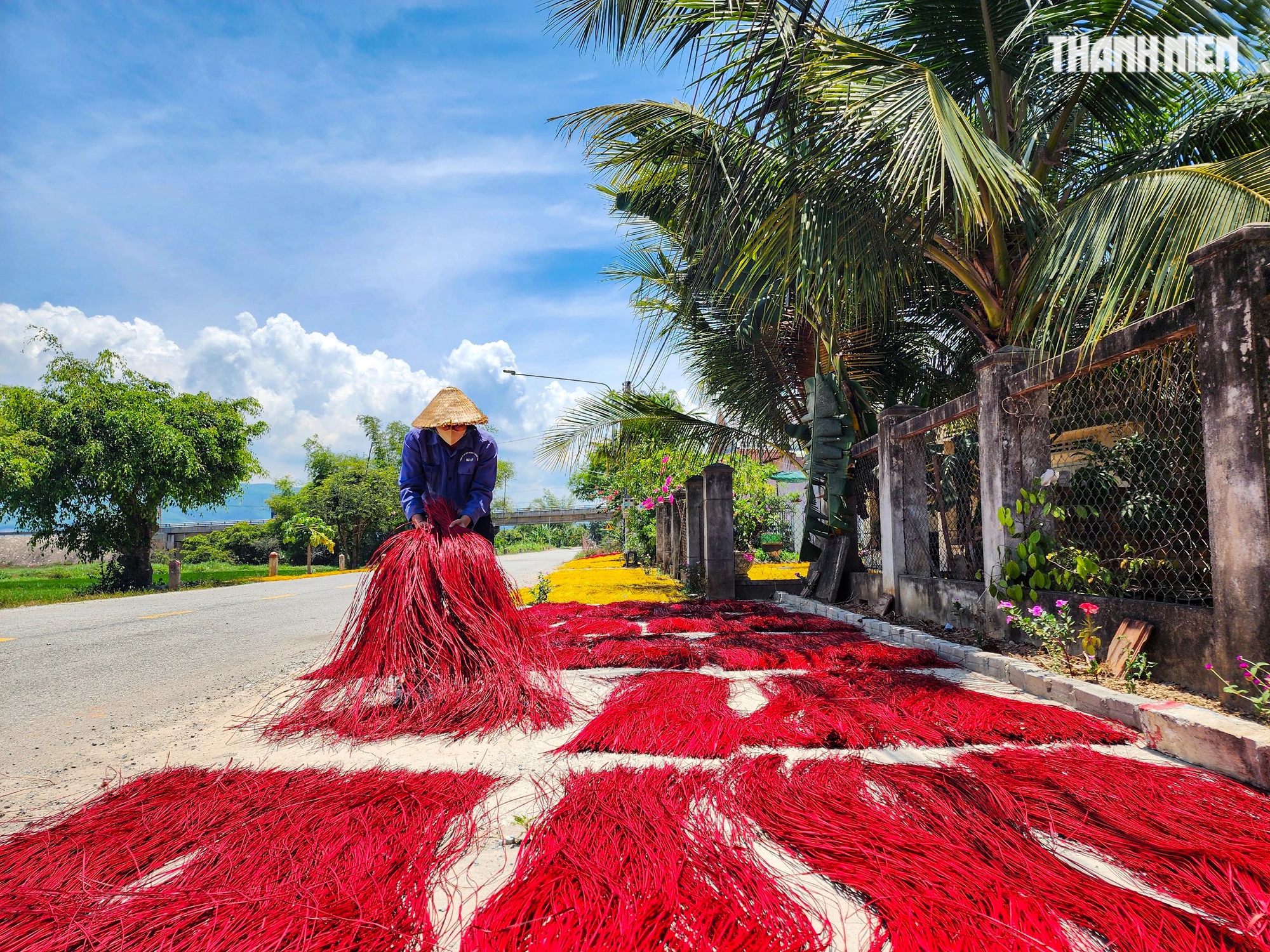 Ngoài giờ học, em Võ Tiến Đạt (ở thôn Chương Hòa, xã Hoài Châu Bắc), học sinh lớp 11, hay phụ mẹ làm chiếu. 