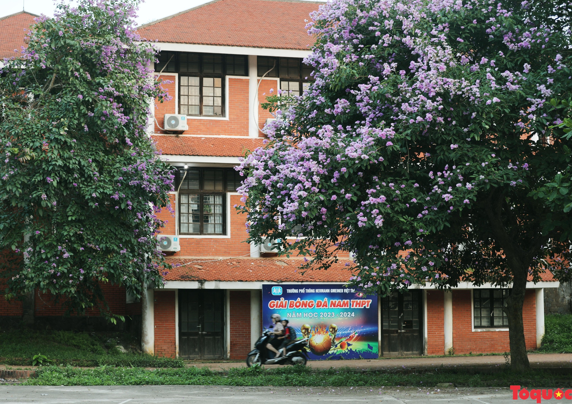 Gợi ý điểm check-in hoa bằng lăng ở Phú Thọ - Ảnh 10.