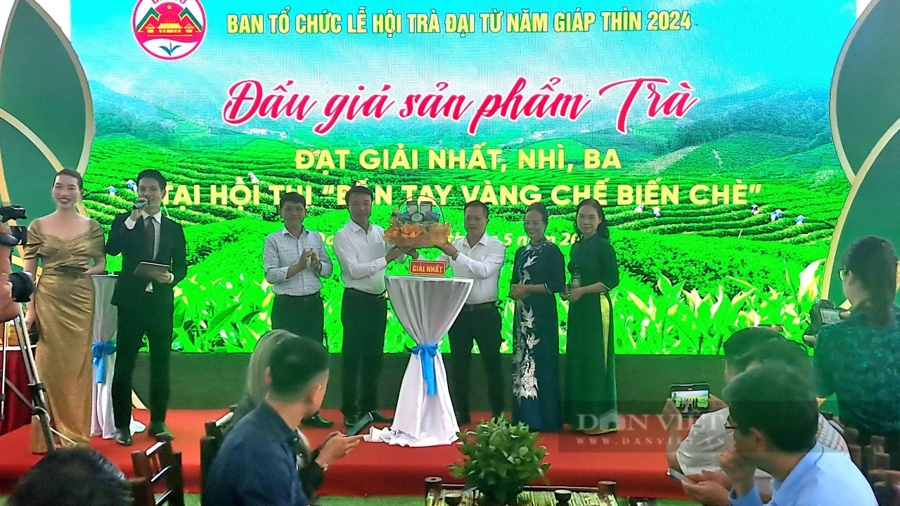 Đấu giá toàn bộ sản phẩm trà trong hội thi 