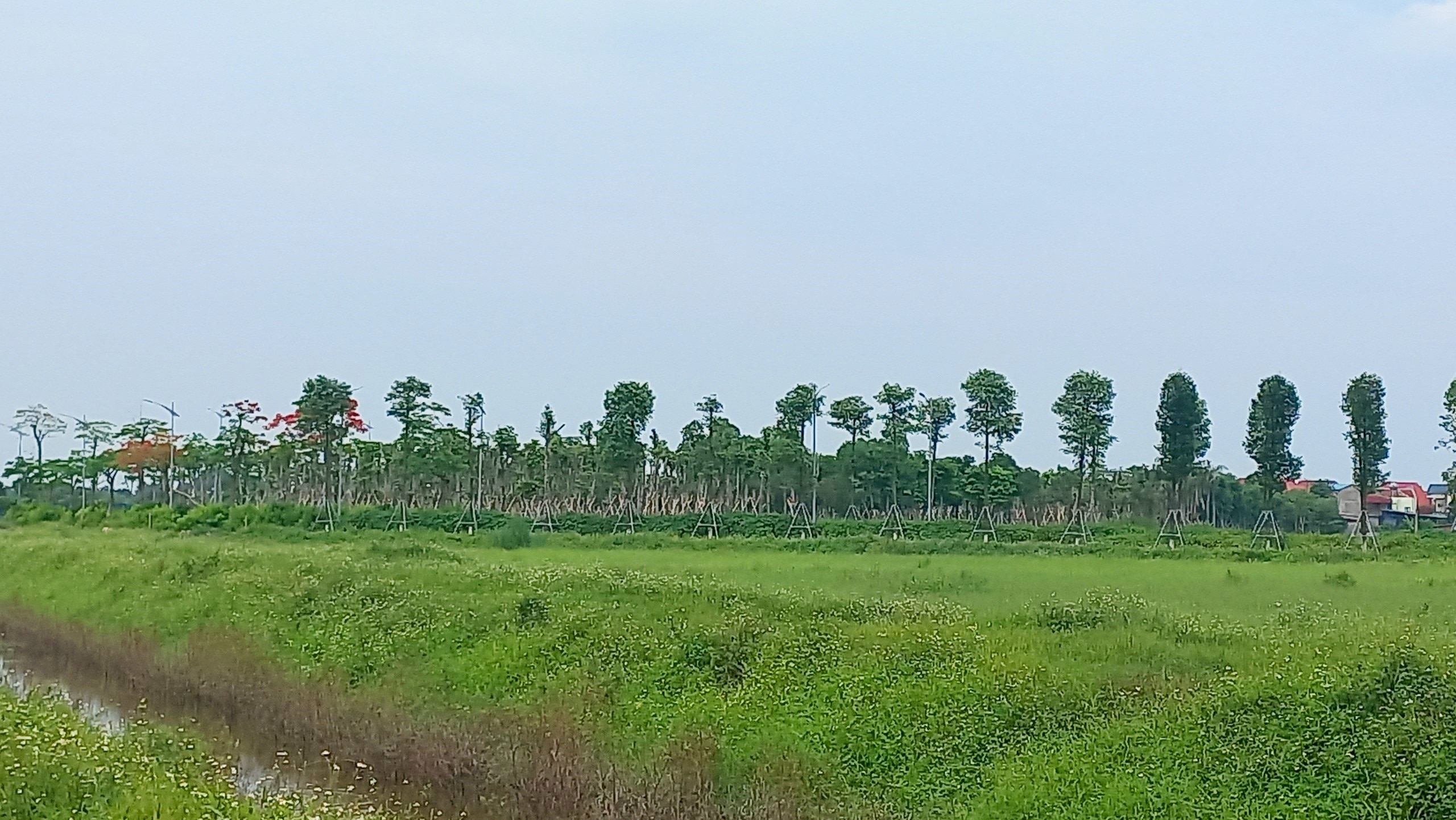 Hiện trạng siêu dự án nham nhở của Hòa Phát vừa bị Thanh tra Chính phủ ‘tuýt còi’- Ảnh 10.