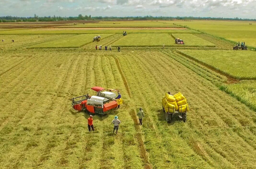 Thí điểm cần thực chất, không chạy theo số lượng