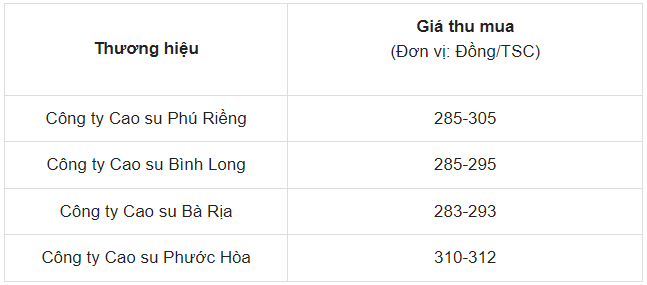 Dự báo giá cao su ngày 20/5/2024: Bước vào chu kỳ tăng giá mới?