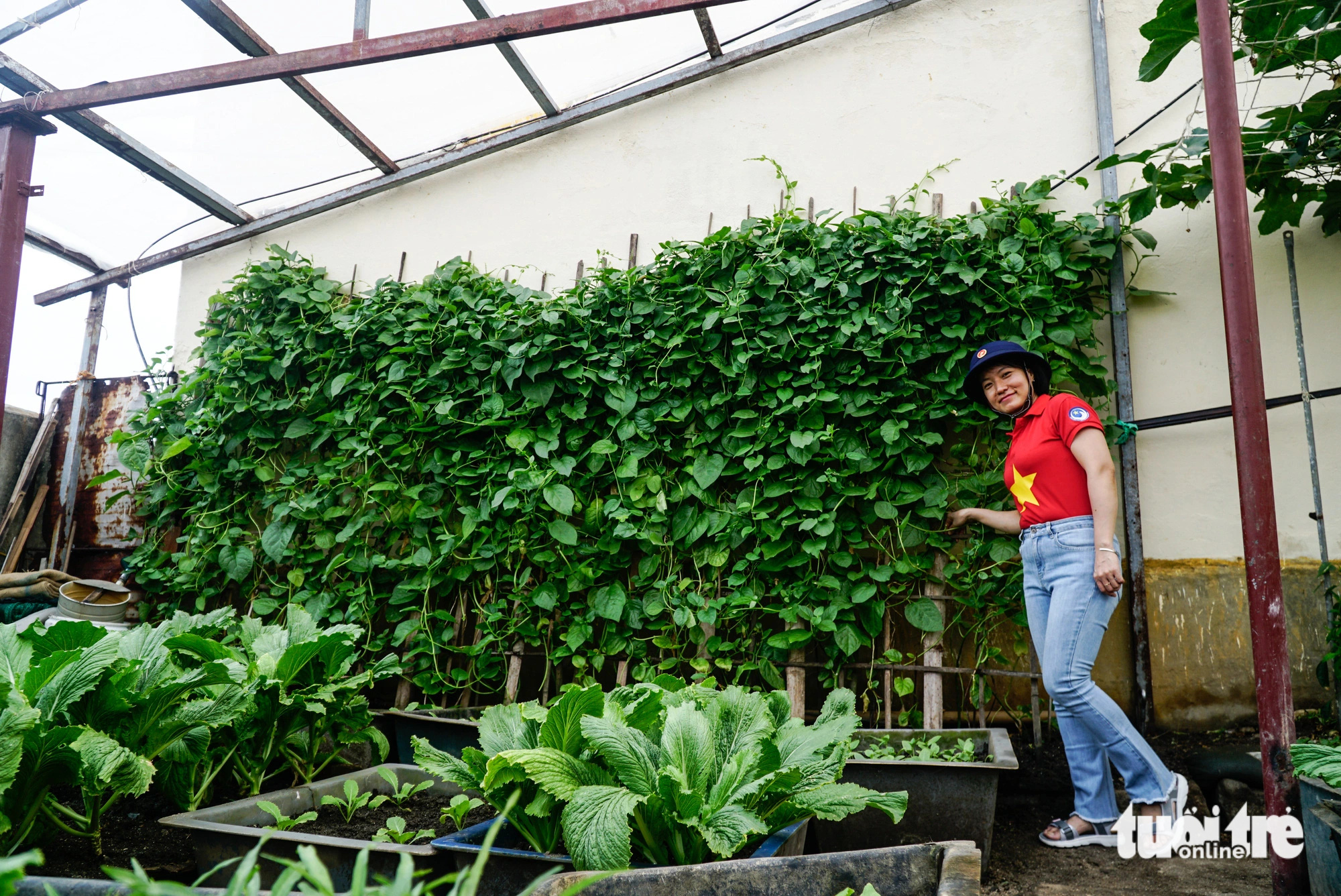 Đến đảo nào chị Phương Thúy (Hà Nội) cũng tranh thủ ghé thăm vườn rau của các chiến sĩ