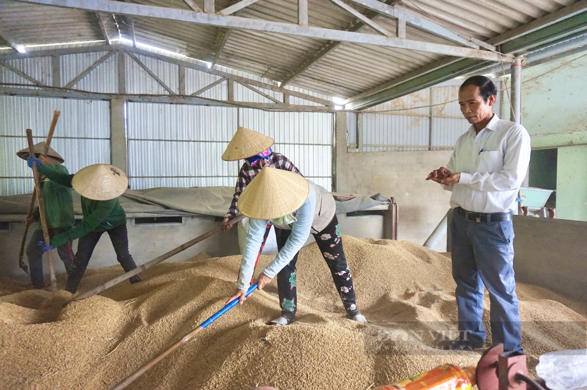 Tăng cường quản lý nhà nước lĩnh vực kinh tế tập thể, Quảng Nam hướng đến phát triển bền vững- Ảnh 3.