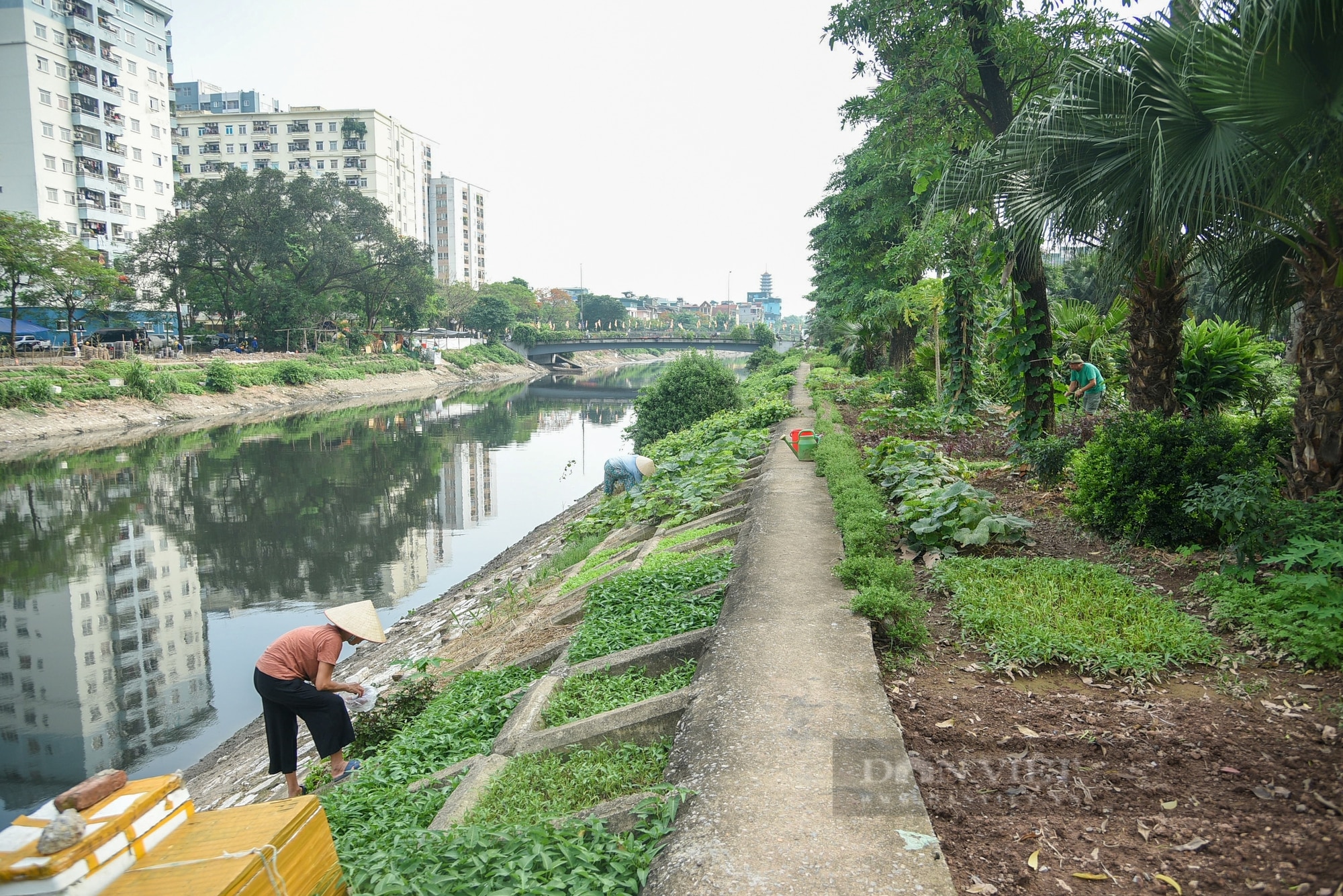 Hình ảnh các họng xả thải, biến sông Tô Lịch thành cống nước đen lộ thiên giữa Thủ đô- Ảnh 19.