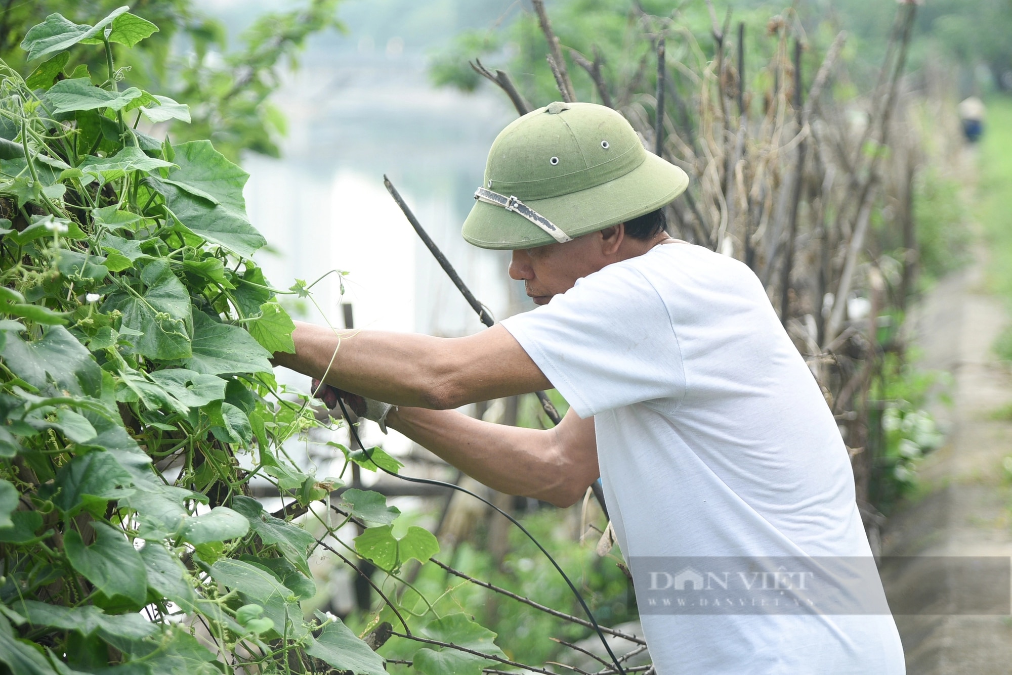 Hình ảnh các họng xả thải, biến sông Tô Lịch thành cống nước đen lộ thiên giữa Thủ đô- Ảnh 24.