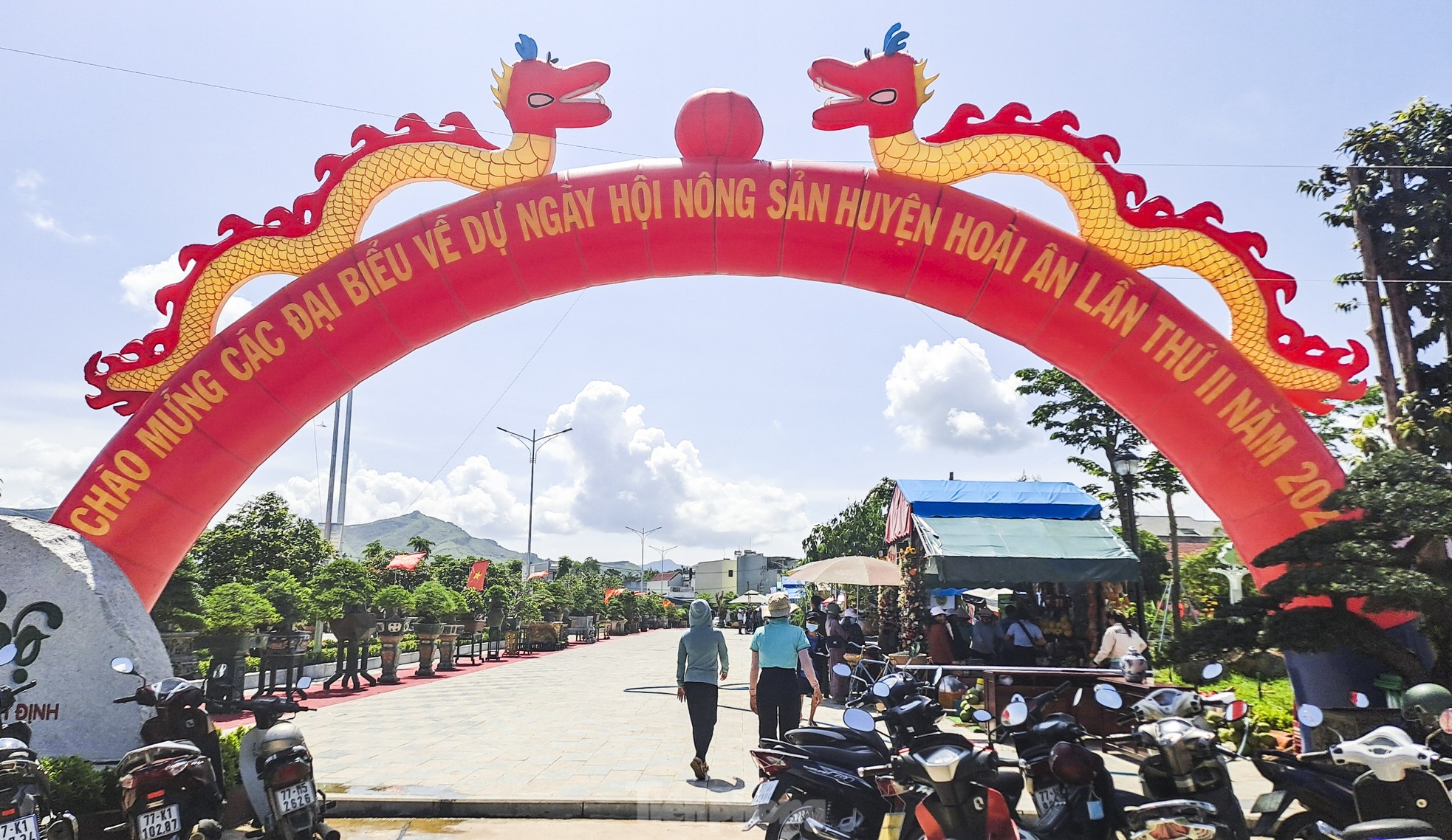 Chiêm ngưỡng trái cây, rau củ 'biến hình' ảnh 3