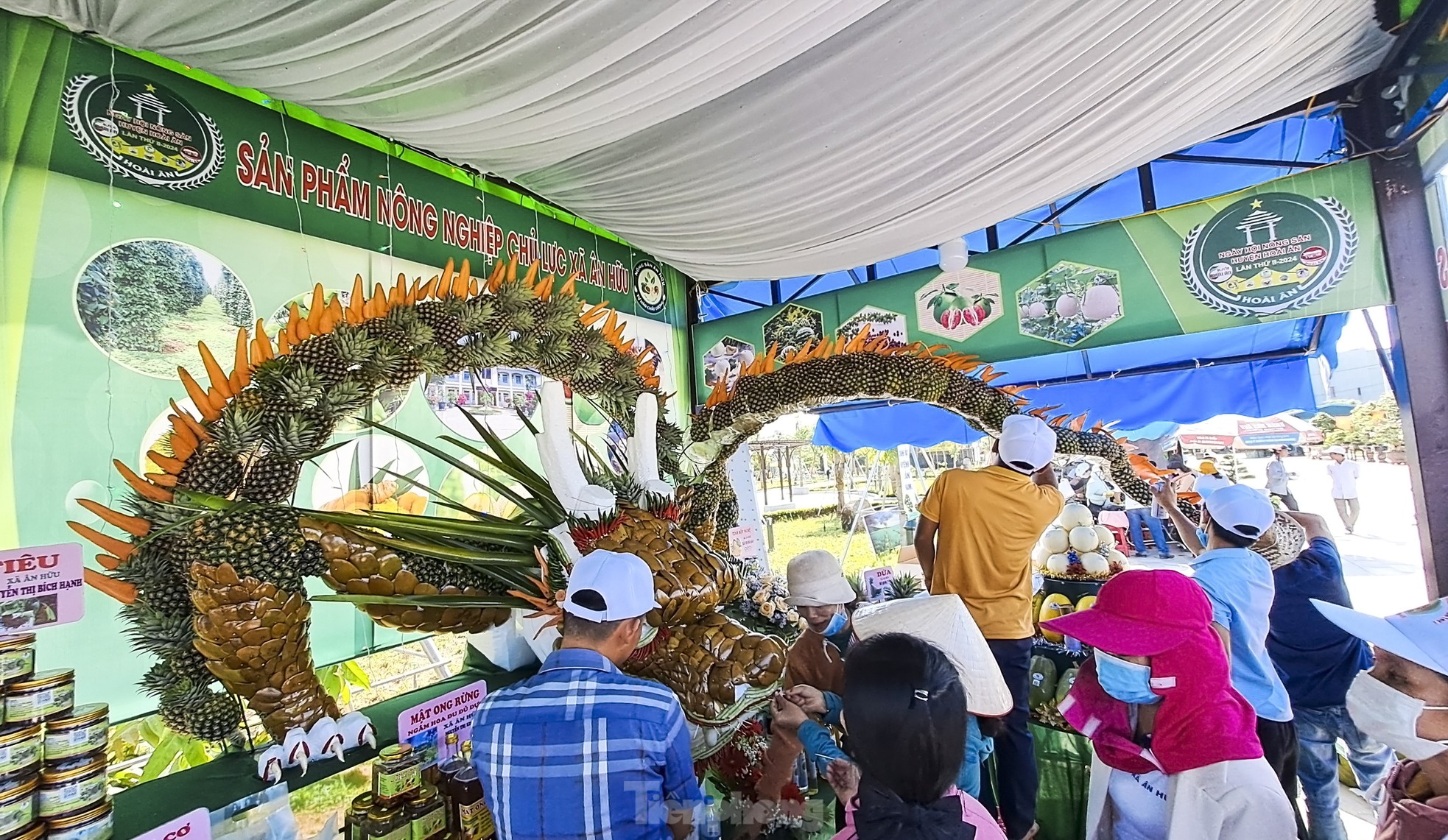 Chiêm ngưỡng trái cây, rau củ 'biến hình' ảnh 5