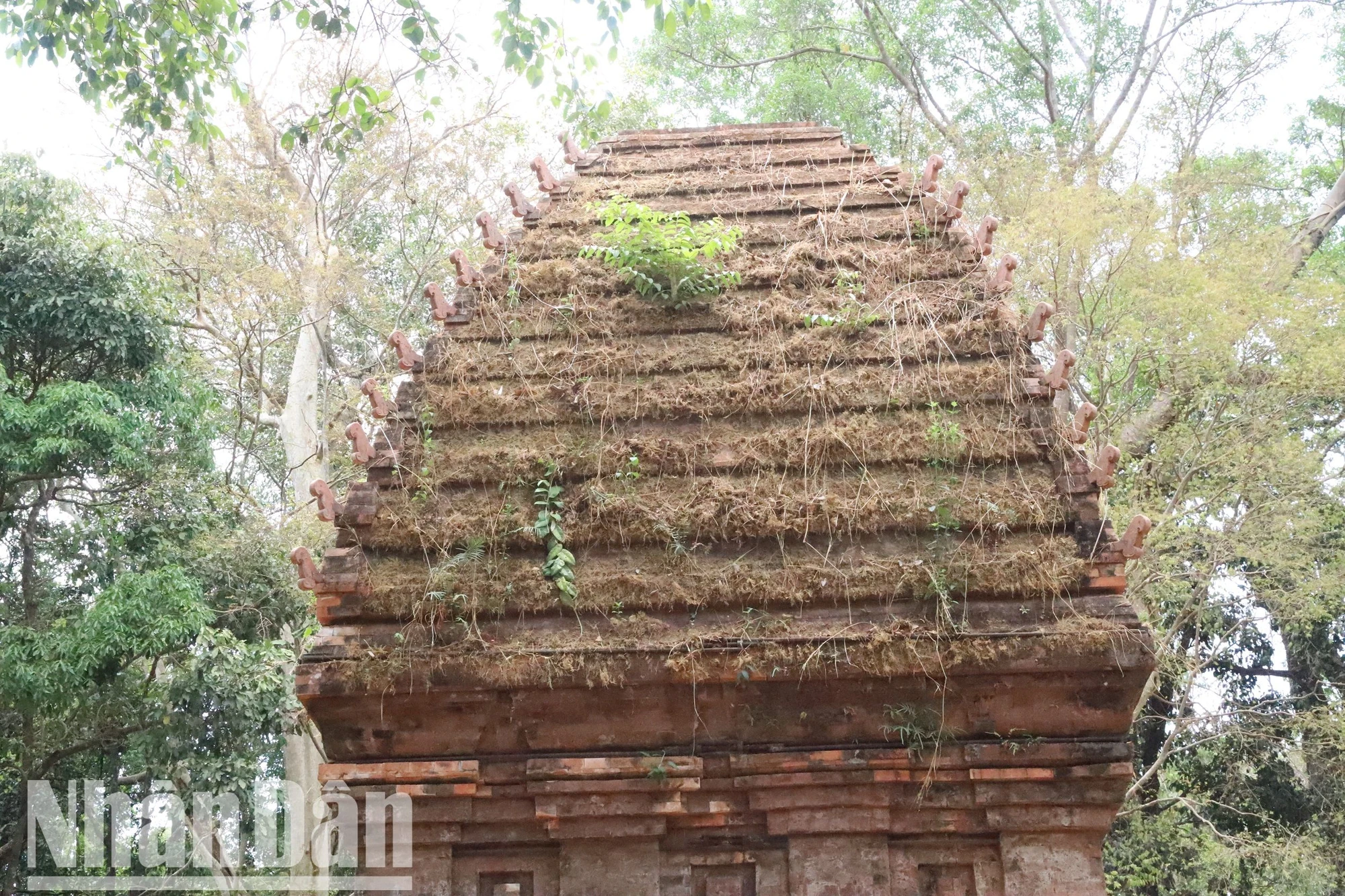 [Ảnh] Huyền bí Tháp Chàm giữa lòng Tây Nguyên ảnh 11