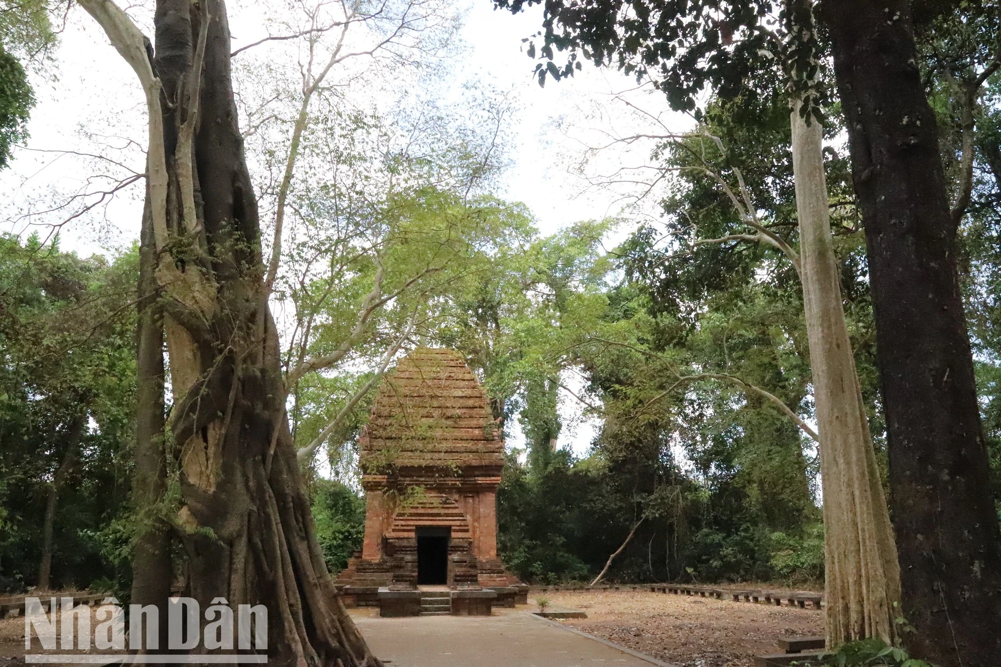 [Ảnh] Huyền bí Tháp Chàm giữa lòng Tây Nguyên ảnh 18