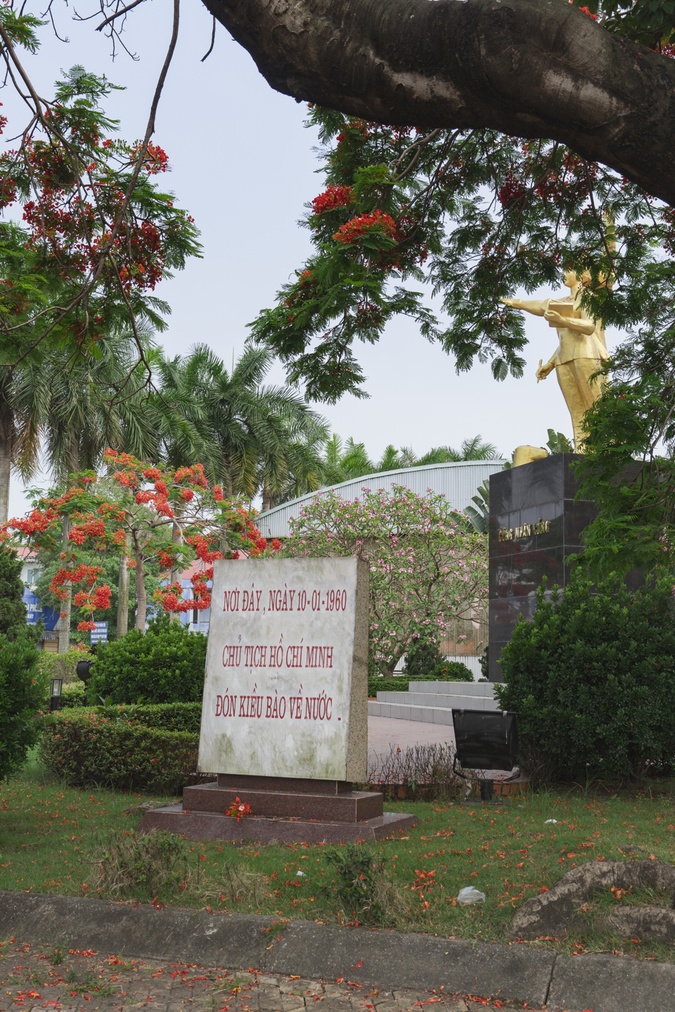 Hải Phòng: chạy thử nghiệm tour du lịch  “Chuyến tàu thăm cảng" - Ảnh 1